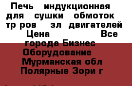 Печь   индукционная   для   сушки   обмоток   тр-ров,   зл. двигателей    › Цена ­ 3 000 000 - Все города Бизнес » Оборудование   . Мурманская обл.,Полярные Зори г.